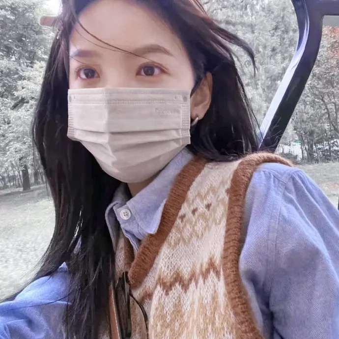 玫瑰绽放的年代